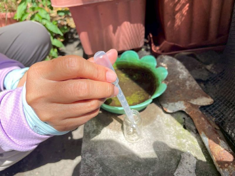 清除積水點及容器，減少病媒蚊孳生